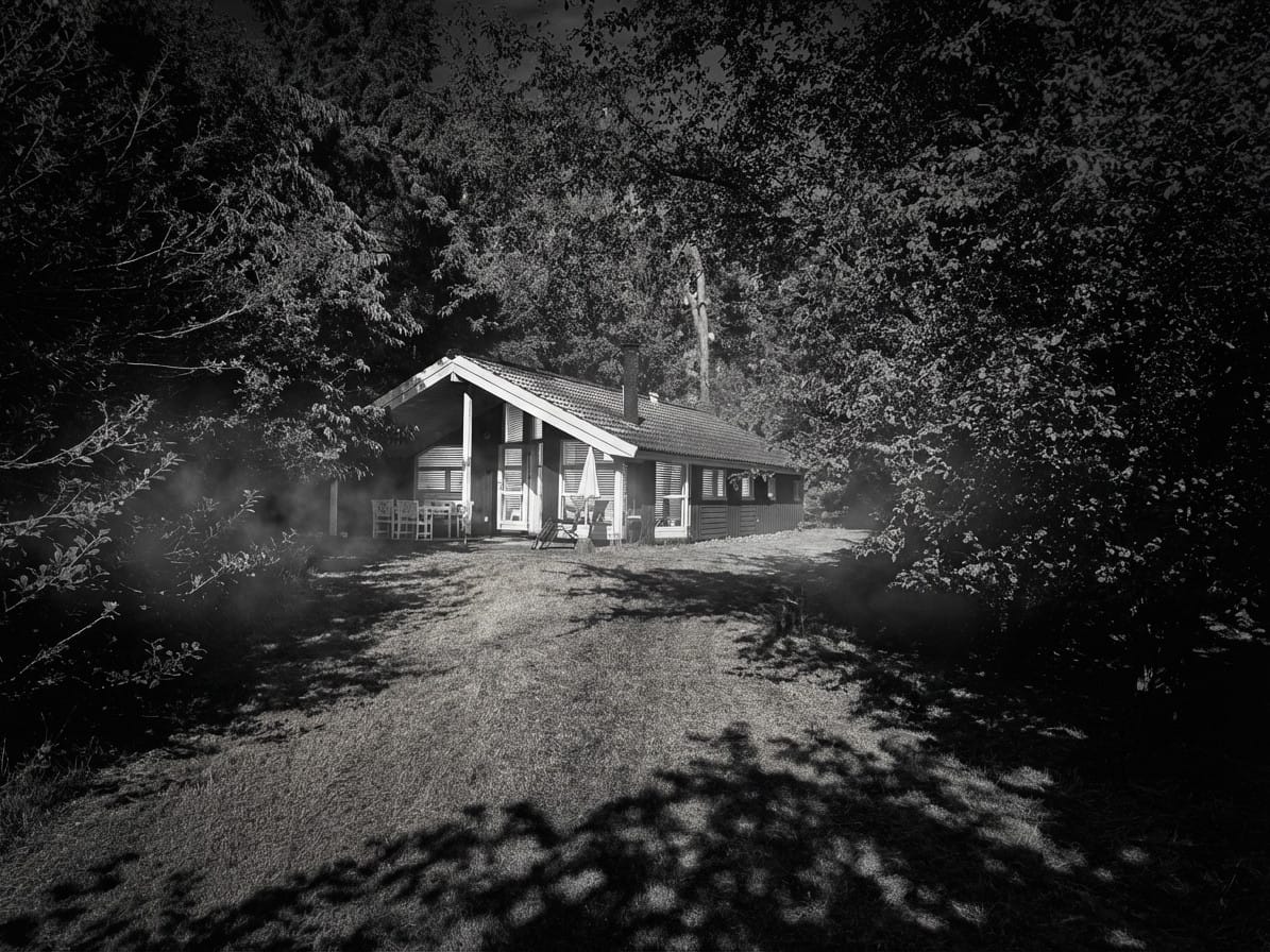 Noir photo effect example