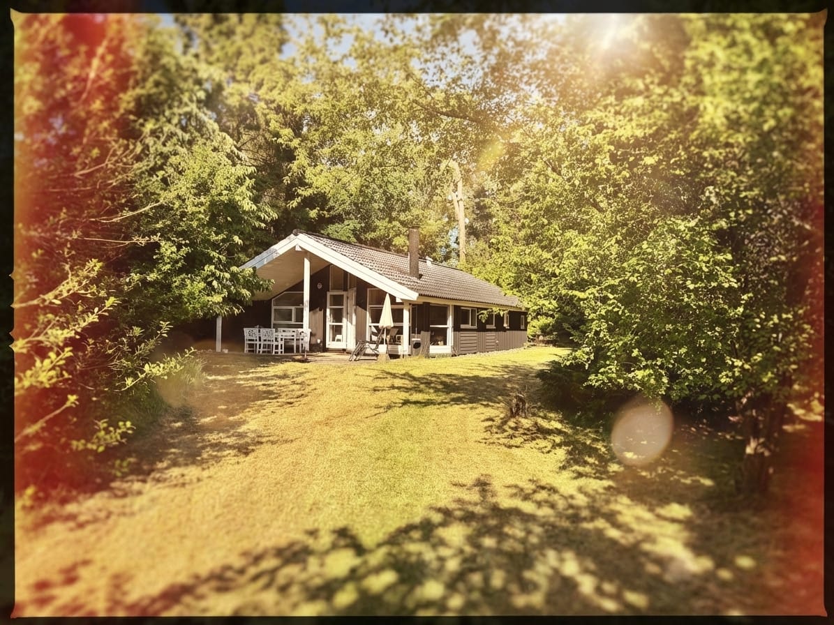 World Photography Day photo effect example